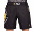 Fuji Happy Jiu Jitsu Shorts