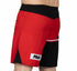 Fuji Mount Shorts