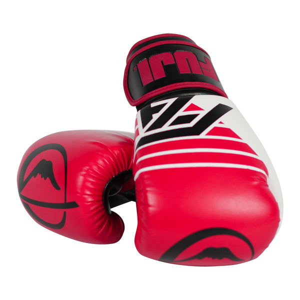 FUJI ASCENSION BOXING GLOVES-1