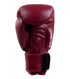 Combat Corner HMIT Boxing Gloves