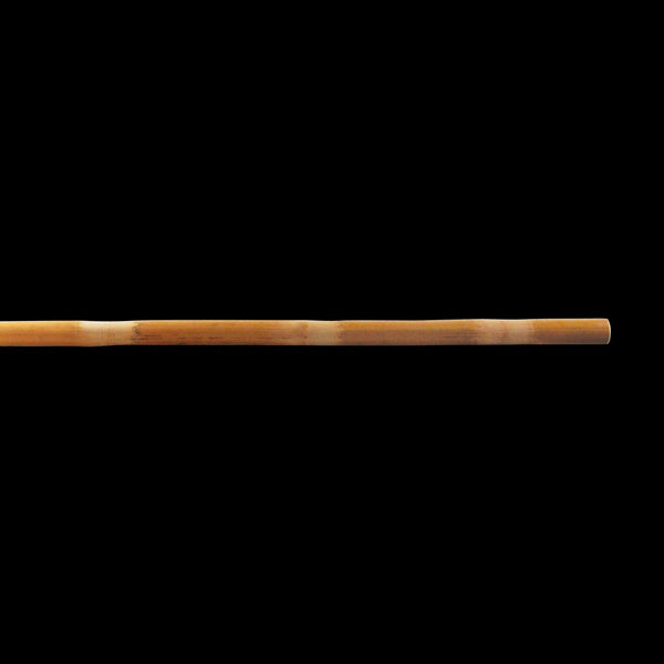 DYNAMICS-BAMBOO BO STAFF