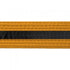 BOLD LOOK BELTS WITH BLACK STRIPE-GOLD WITH BLACK STRIPE-1