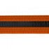 BOLD LOOK BELTS WITH BLACK STRIPE-ORANGE WITH BLACK STRIPE-1