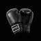 DYNAMICS ELITE BLACK BOXING GLOVES-Black/Black