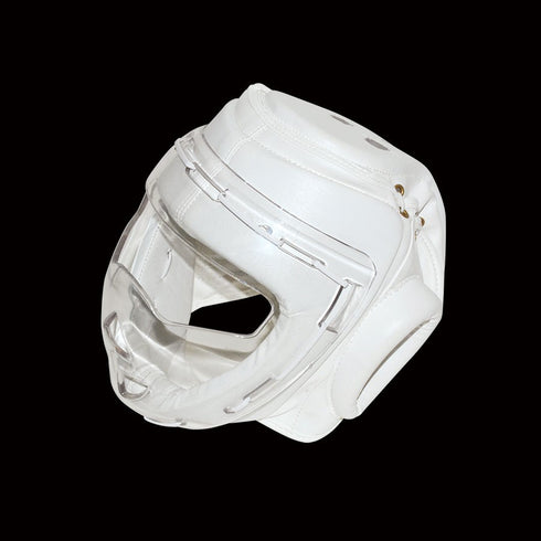 DYNAMICS HEAD GEAR WITH CLEAR FACE MASK