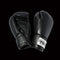 DYNAMICS LEATHER CARDIO GLOVES