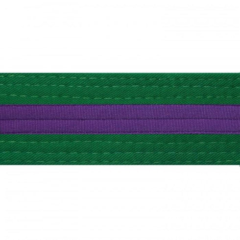 BOLD LOOK GREEN BELTS WITH STRIPE/PURPLE STRIPE-1