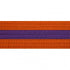 BOLD LOOK ORANGE BELTS WITH STRIPE-ORN/YLW STRIPE-2