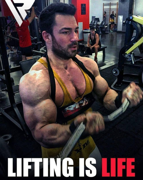 RDX X1 Weight Lifting Arm Blaster