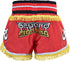RDX R4 RED FIRE MUAY THAI SHORT-9